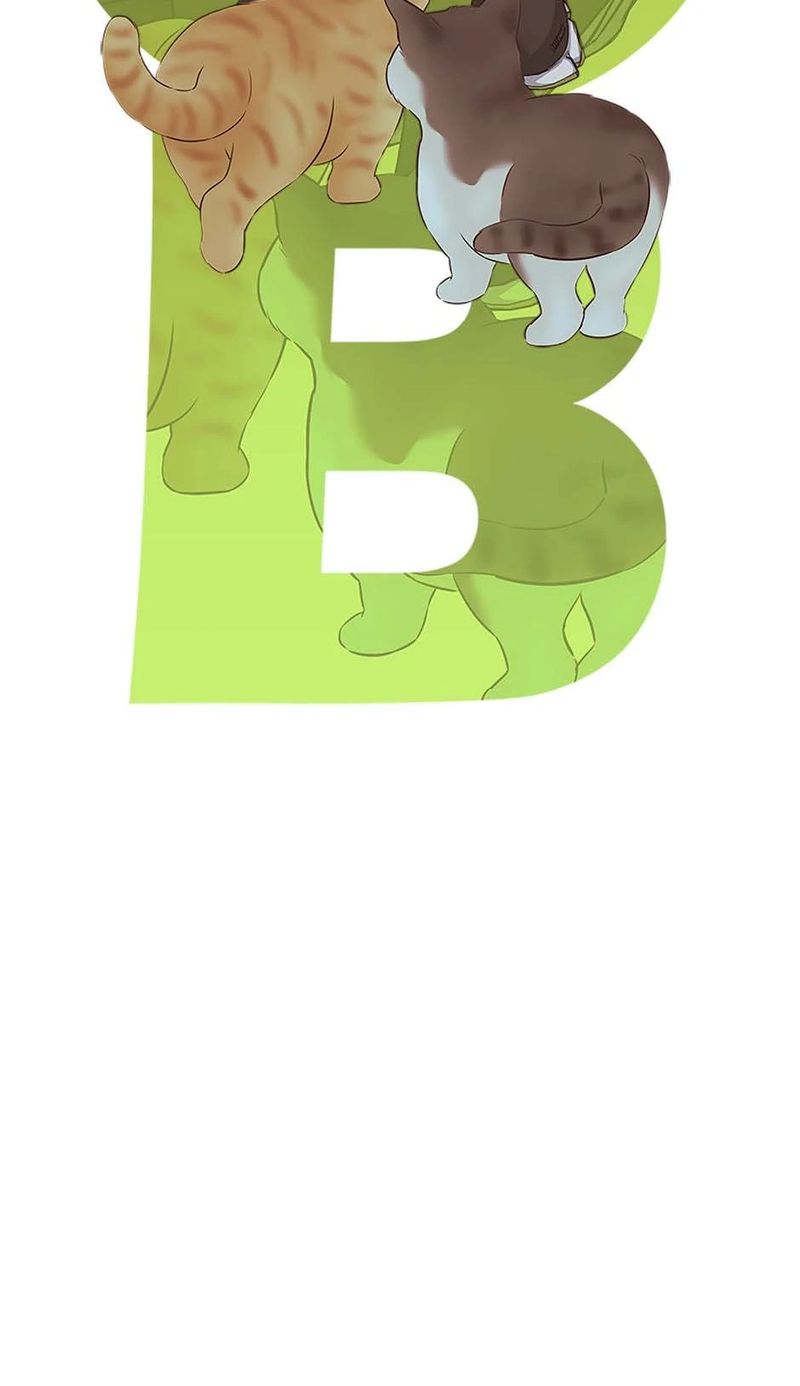 God of Blackfield - Chapter 256 Page 11