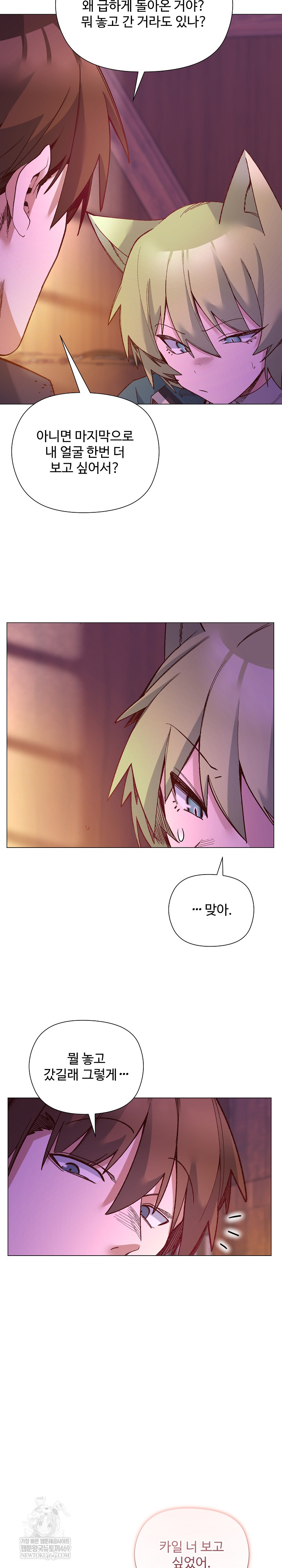 I Will Protect the Lady Raw - Chapter 49 Page 25